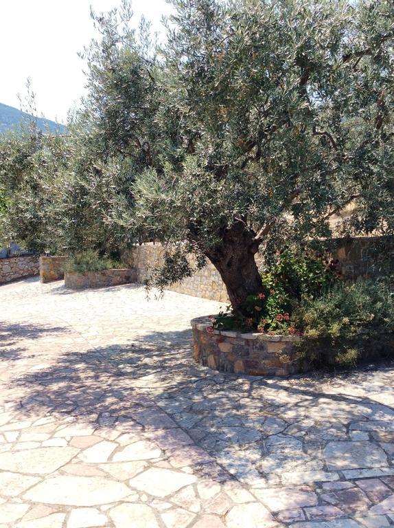 Angelica Villas Hotel Apartments Epidaurus Exteriér fotografie